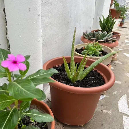 Casa Berri * مْبيخير ذي لا فرونتيرا